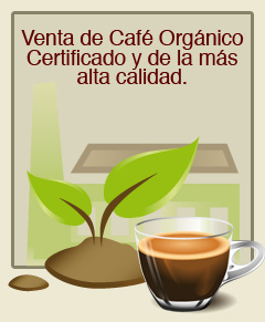 caf molido, caf en grano organico, caf molido organico, caf organico, caf organico certificado, servicio de barra de caf, renta de cafeteras, eventos de caf, barra de caf para eventos, molinos de caf, molino para caf, maquinas granitas, representante la pavoni en Guadalajara